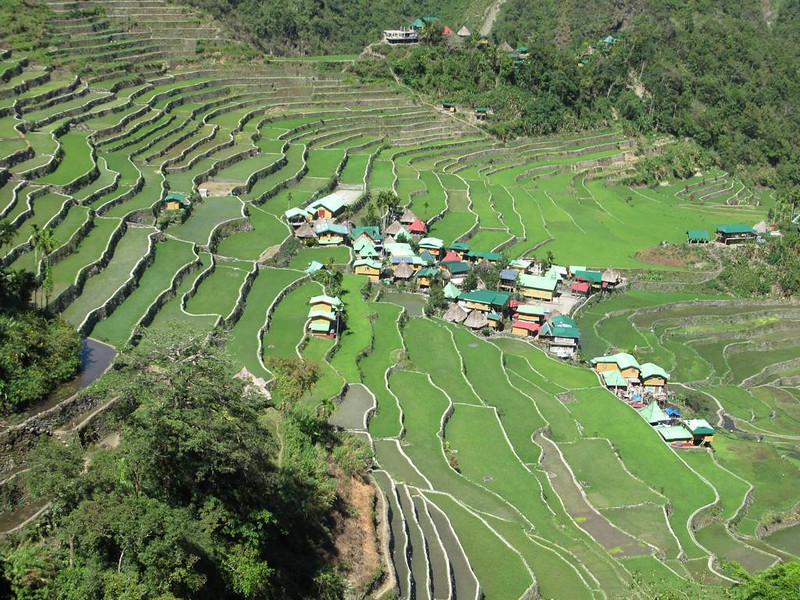 バナウェのライステラス