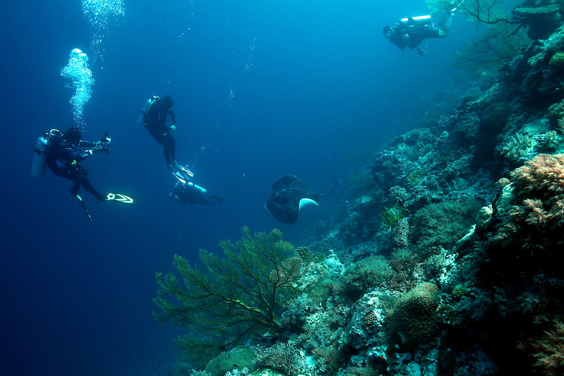 トゥバタハ岩礁自然公園（Tubbataha Reefs Natural Park）